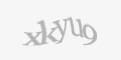 Защитный код